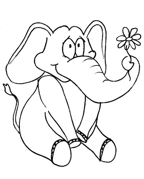 פיל חמוד מחזיק פרח