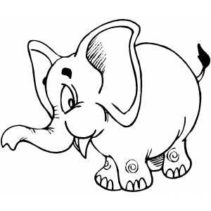 פיל קטן ושמן