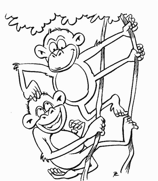 שני קופים משחקים